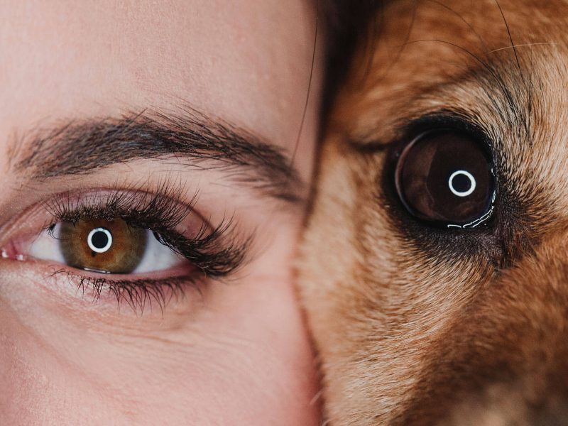 Augen_klein